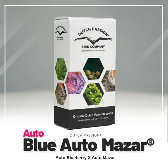 DUTCH PASSION - BLUE AUTO MAZAR FEM - immagine 2