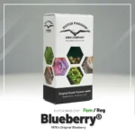 DUTCH PASSION - BLUEBERRY FEM – Image 2