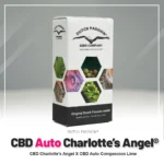 DUTCH PASSION - CBD AUTO CHARLOTTE'S ANGEL® FEM – Image 2