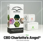 DUTCH PASSION - CBD CHARLOTTE'S ANGEL FEM - immagine 2