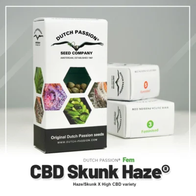 DUTCH PASSION - CBD SKUNK HAZE FEM - Imagen 2