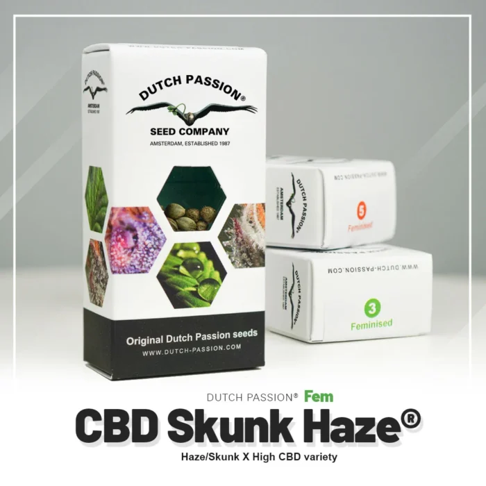 DUTCH PASSION - CBD SKUNK HAZE FEM - Imagen 2