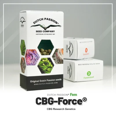 DUTCH PASSION - CBG-FORCE FEM - Imagen 2