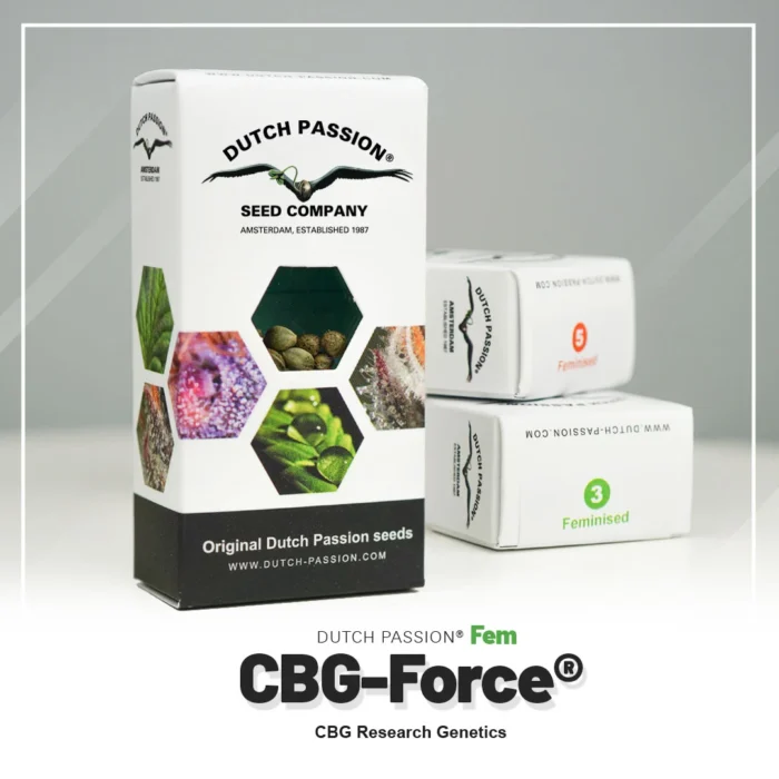 DUTCH PASSION - CBG-FORCE FEM - Imagen 2