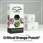 DUTCH PASSION - CRITICAL ORANGE PUNCH FEM - Imagen 2