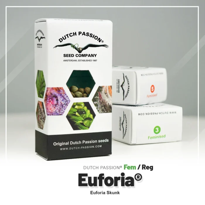 DUTCH PASSION - EUFORIA FEM - immagine 2
