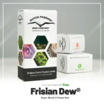 DUTCH PASSION - FRISIAN DEW FEM - Imagen 2
