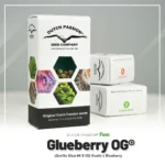 DUTCH PASSION - GLUEBERRY OG FEM - Image 2