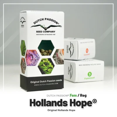 DUTCH PASSION - HOLLANDS HOPE FEM - Imagen 2