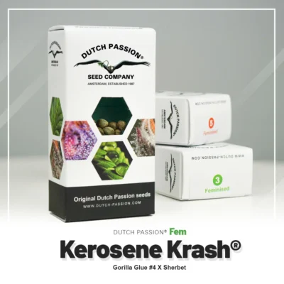 DUTCH PASSION - KEROSENE KRASH FEM - immagine 2