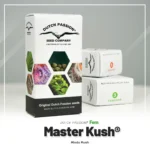DUTCH PASSION - MASTER KUSH FEM – Image 2