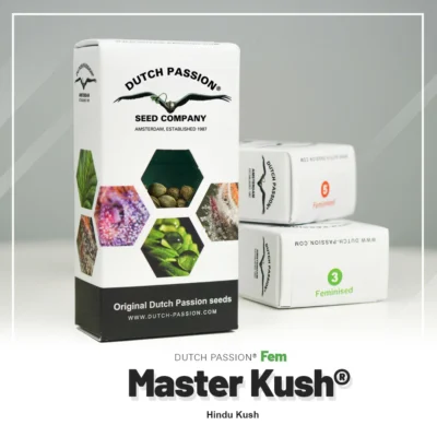 HOLLÄNDISCHE LEIDENSCHAFT - MASTER KUSH FEM – Bild 2