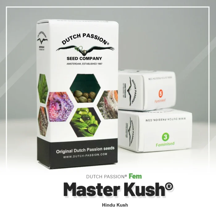 DUTCH PASSION - MASTER KUSH FEM – Image 2
