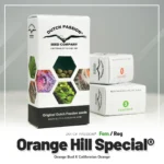 DUTCH PASSION - ORANGE HILL SPECIAL FEM – Image 2