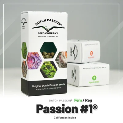 DUTCH PASSION - PASIÓN #1 FEM - Imagen 2