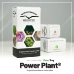 DUTCH PASSION - POWER PLANT FEM – Image 2