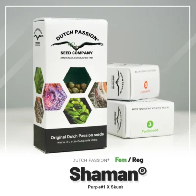 DUTCH PASSION - SHAMAN FEM – Image 2
