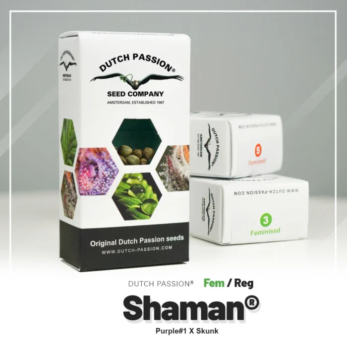 DUTCH PASSION - SHAMAN FEM - Image 2