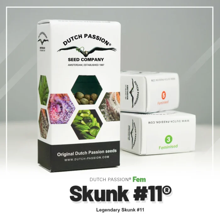 DUTCH PASSION - SKUNK #11 FEM - immagine 2