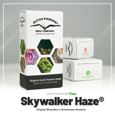 DUTCH PASSION - SKYWALKER HAZE FEM – Image 2