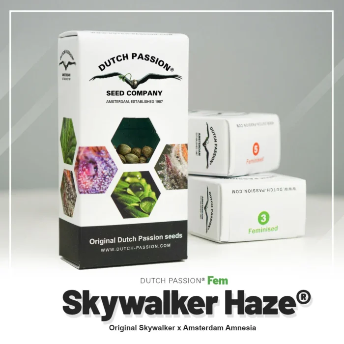 DUTCH PASSION - SKYWALKER HAZE FEM - Image 2