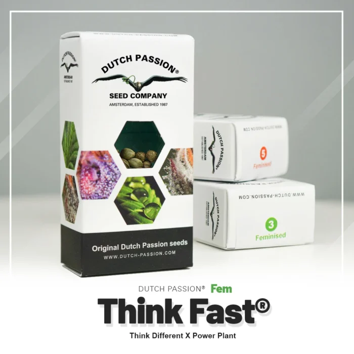 DUTCH PASSION - THINK FAST FEM - immagine 2