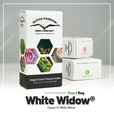 DUTCH PASSION - WHITE WIDOW FEM - immagine 2