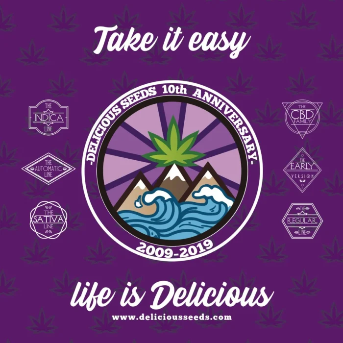 DELICIOUS SEEDS - DESCOJACK FEM - Image 1