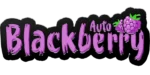 FAST BUDS - BLACKBERRY AUTO – Image 2