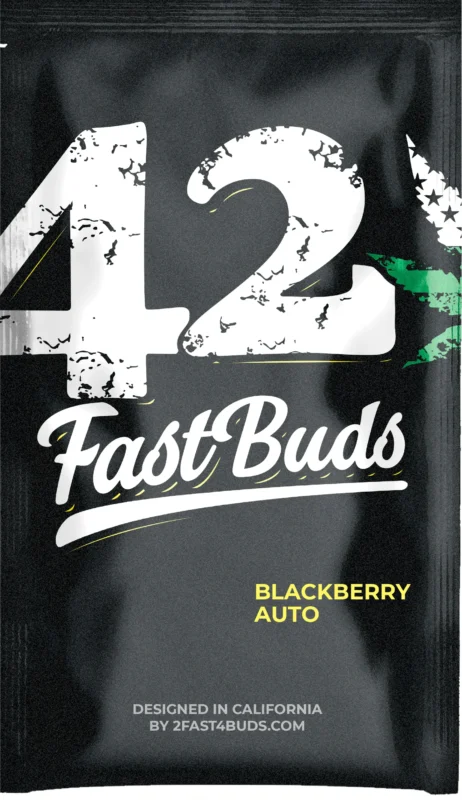 FAST BUDS - BLACKBERRY AUTO – Image 3