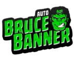 FAST BUDS - BRUCE BANNER AUTO - Imagen 2