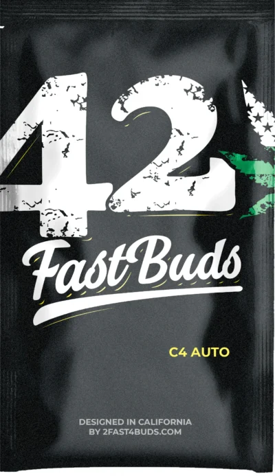 FAST BUDS - C4 AUTO FEM | Disponibile fino ad esaurimento scorte - immagine 3