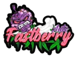 FAST BUDS - FASTBERRY AUTO – Image 2