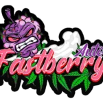 FAST BUDS - FASTBERRY AUTO FEM | Disponibile fino ad esaurimento scorte