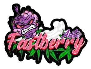 FAST BUDS - FASTBERRY AUTO FEM | Available while stocks last - Image 2
