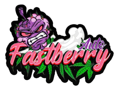 FAST BUDS - FASTBERRY AUTO FEM | Verfügbar solange der Vorrat reicht - immagine 2