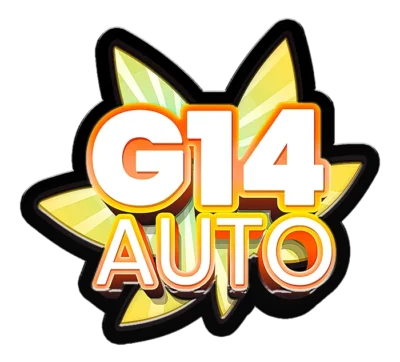 FAST BUDS - G14 AUTO FEM | Available while stocks last - Image 2
