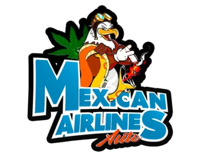 FAST BUDS - MEXICAN AIRLINES AUTO | Available while stocks last - Image 2