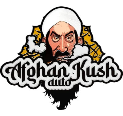 SCHNELLE KNOSPEN - ORIGINAL AFGHANISCHEN KUSH AUTO FEM – Bild 3