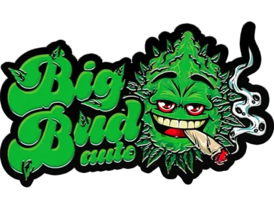 FAST BUDS - ORIGINAL BIG BUD AUTO FEM – Image 2