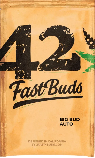 FAST BUDS - ORIGINAL BIG BUD AUTO FEM – Image 3