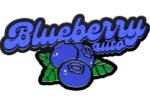 FAST BUDS - ORIGINAL BLUEBERRY AUTO FEM - immagine 2
