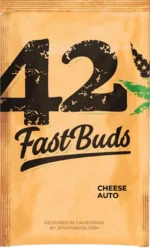 FAST BUDS - ORIGINAL CHEESE AUTO - Imagen 3