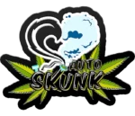 FAST BUDS - ORIGINAL SKUNK AUTO - immagine 2
