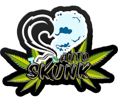 SCHNELLE KNOSPEN - ORIGINAL SKUNK AUTO – Bild 2