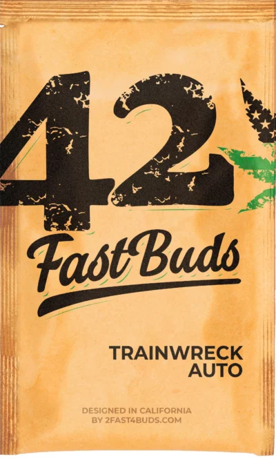 FAST BUDS - ORIGINAL TRAINWRECK AUTO FEM | Available while stocks last - Image 3