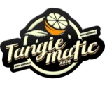 FAST BUDS - TANGIE'MATIC AUTO - immagine 2