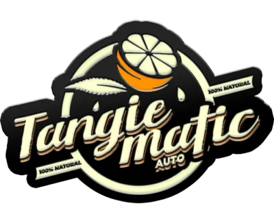 FAST BUDS - TANGIE'MATIC AUTO | Available while stocks last - Image 2