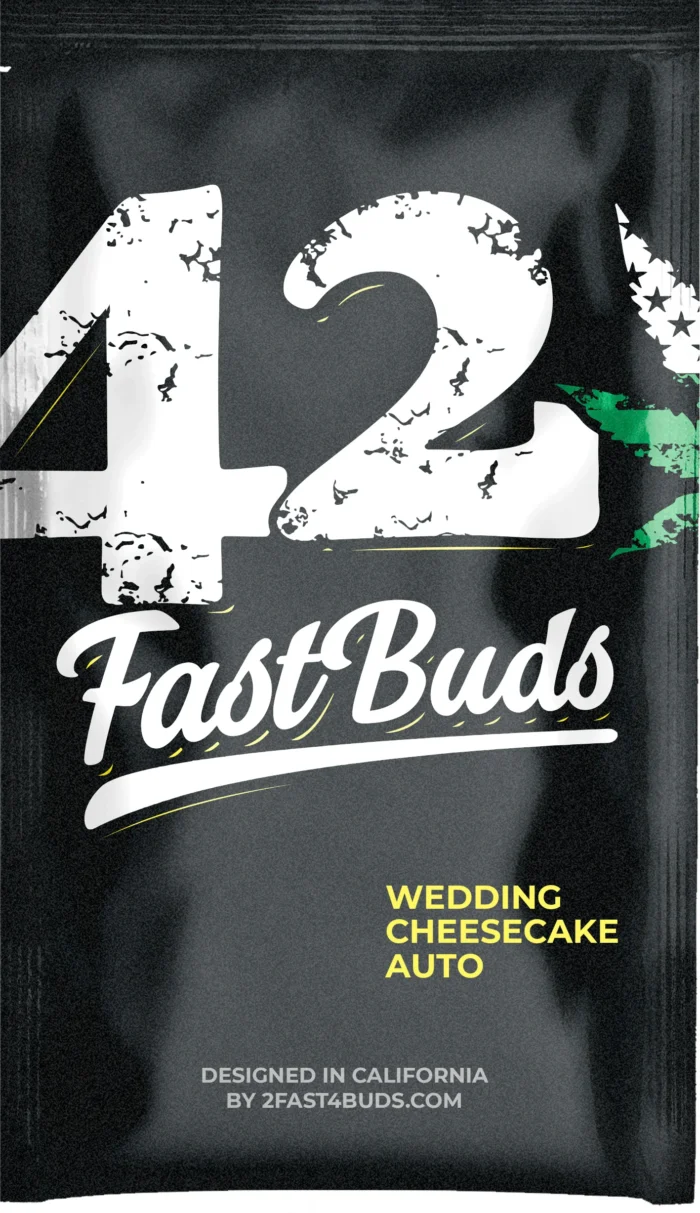 FAST BUDS - WEDDING CHEESECAKE AUTO - Image 3
