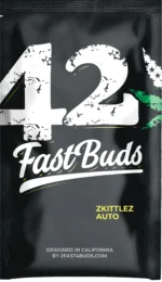FAST BUDS - ZKITTLEZ AUTO – Image 3